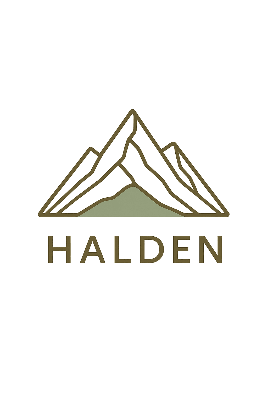 HALDEN generated logo design
